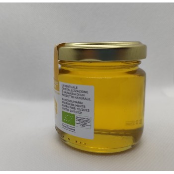 copy of Wildflower Honey 500 gr
